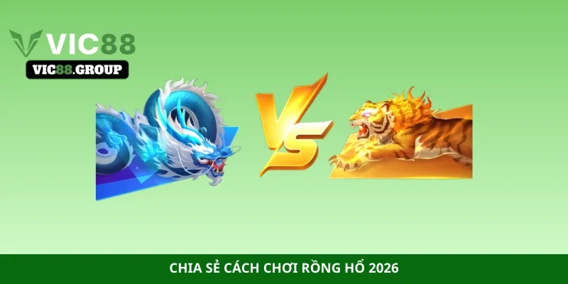 Chia sẻ cách chơi Rồng Hổ 2026