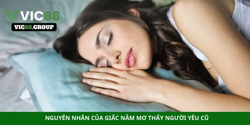 Nguyên nhân của giấc nằm mơ thấy người yêu cũ
